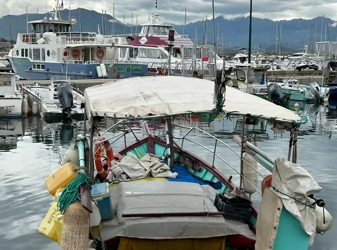 Superbe appartement neuf de haut standing Appartement