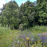 Vue Sanguinaires Avec Terrasse * アジャクシオ