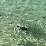 アパート Vue Sanguinaires Avec Terrasse アジャクシオ