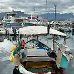 Vue Sanguinaires Avec Terrasse アパート