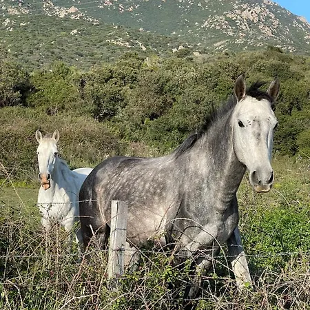 Appartamento Superbe Neuf De Standing