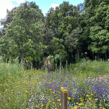 Superbe Neuf De Standing * Ajaccio (Corsica)