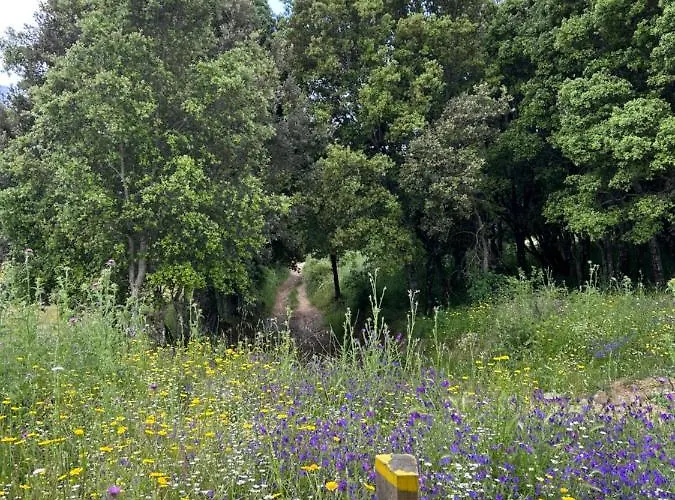 Appartement Vue Mer Ajaccio Sanguinaires Avec Terrasse * Ajaccio (Corsica)